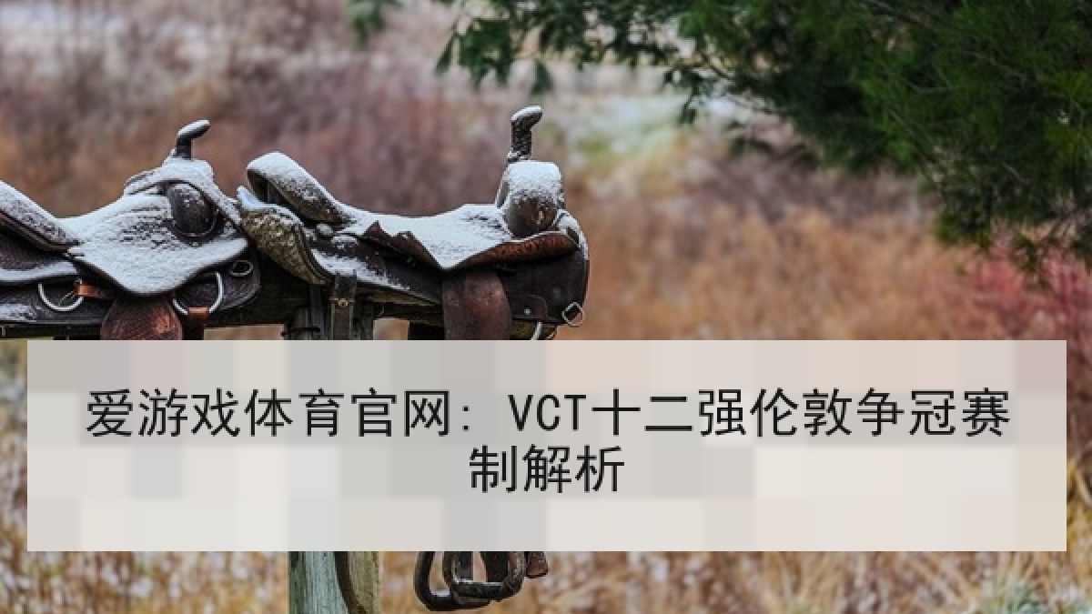 爱游戏体育官网: VCT十二强伦敦争冠赛制解析