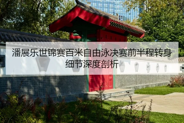 潘展乐世锦赛百米自由泳决赛前半程转身细节深度剖析