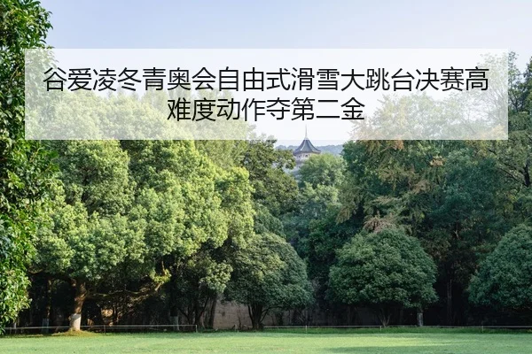 谷爱凌冬青奥会自由式滑雪大跳台决赛高难度动作夺第二金